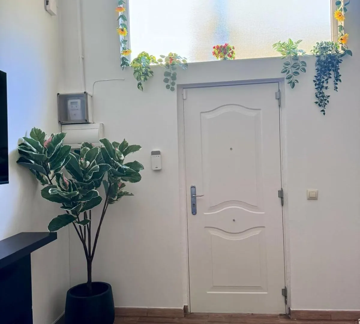 Pamis Apartament Sants, Barcelona Spain